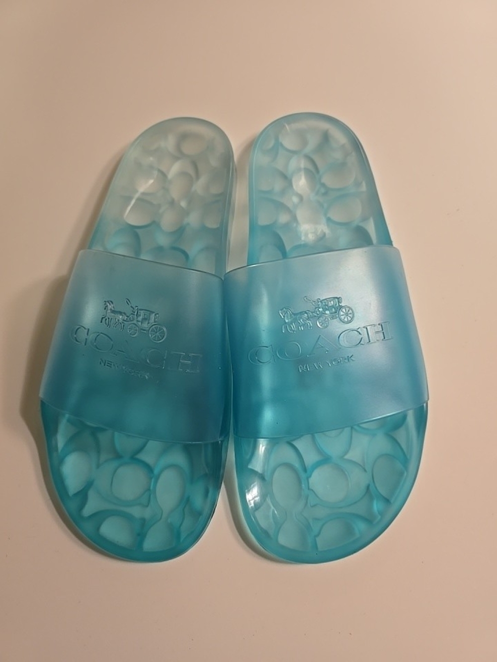 Coach Blue Transparent Slide Sandals